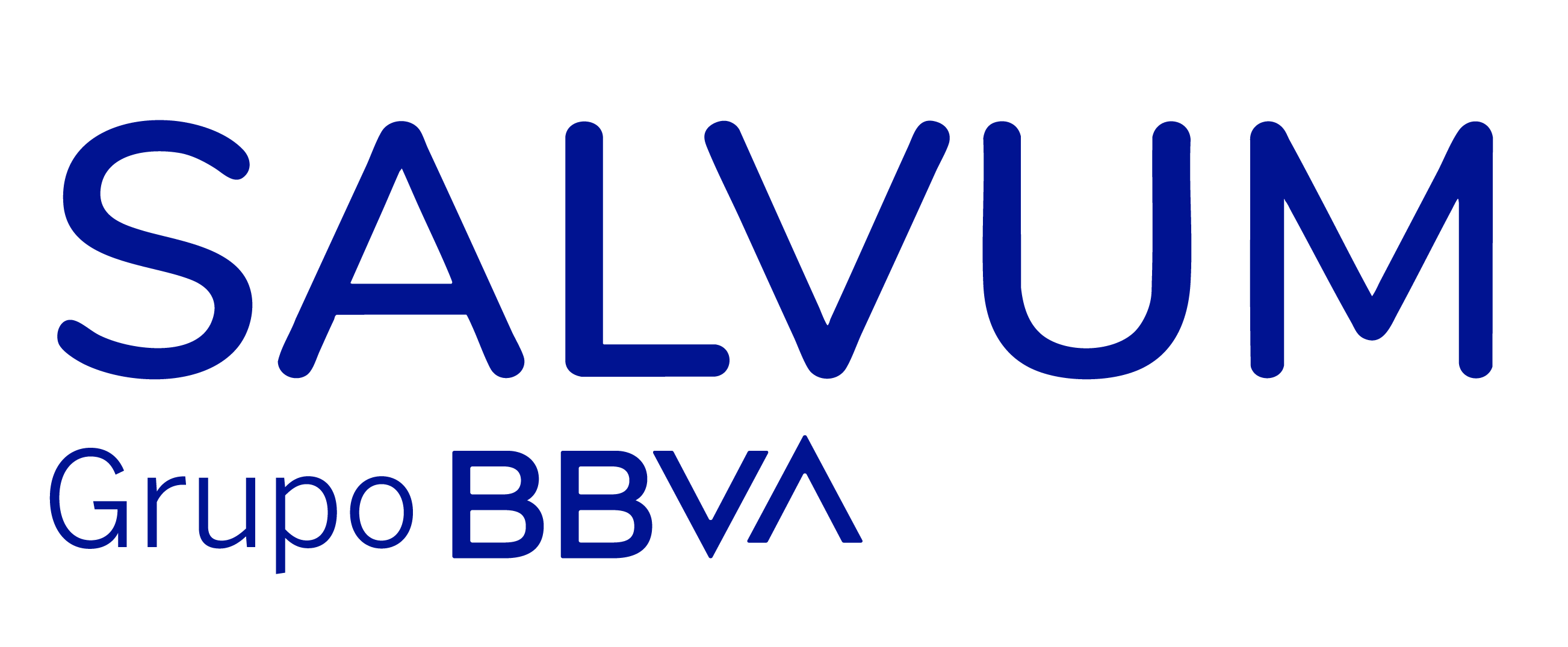 Salvum Grupo BBVA